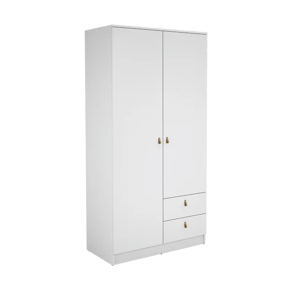 ARMARIO 2 PUERTAS + 2 CAJONES 100,2x51,6x200 cm