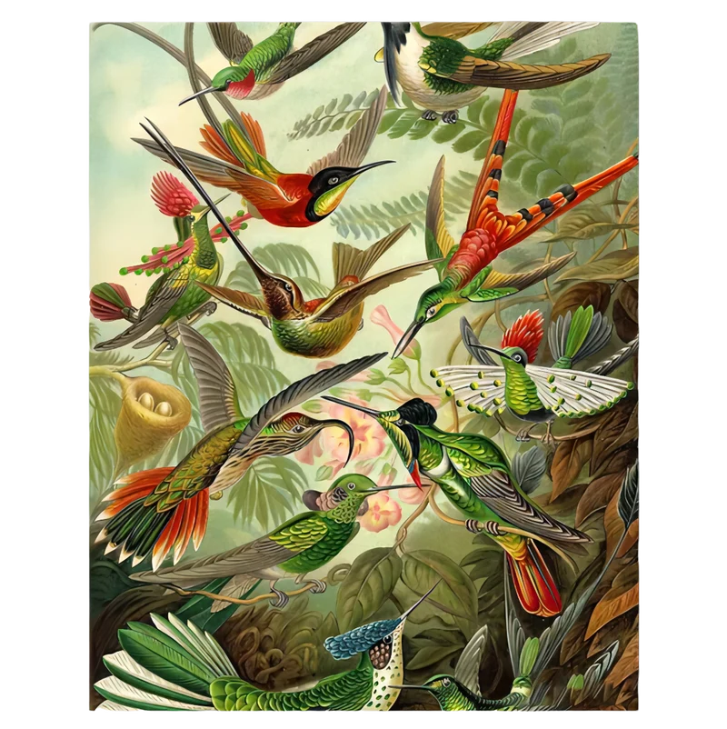 Painting by numbers Hummingbirds