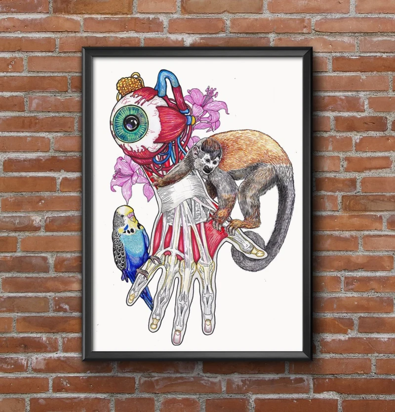 ILUSTRACIÓN LÁMINA "OJO Y MANO" EL DIOS DE LOS TRES