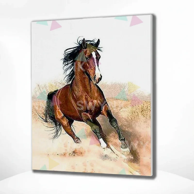 Painting by numbers Horse at a Gallop