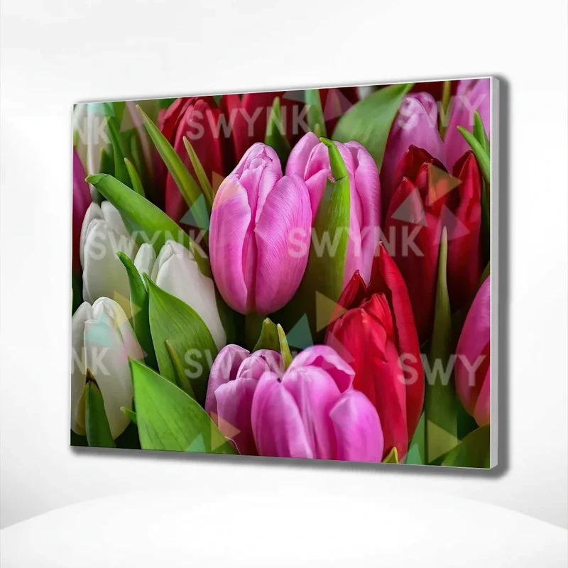 Painting by numbers Tulips