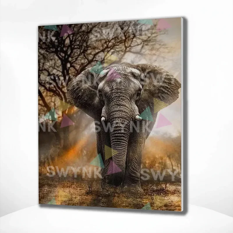 Painting by numbers Elephant with Sunset