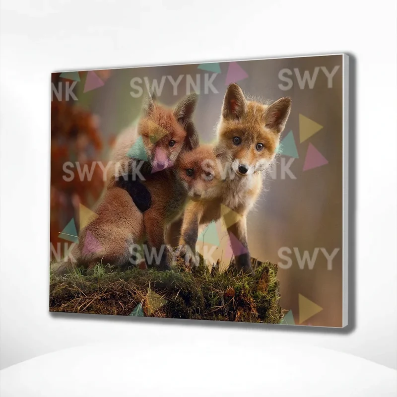 Painting by numbers 3 Foxes