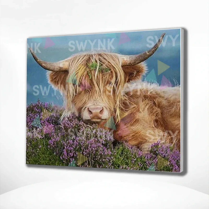 Painting by numbers Scottish Highlander with Flowers