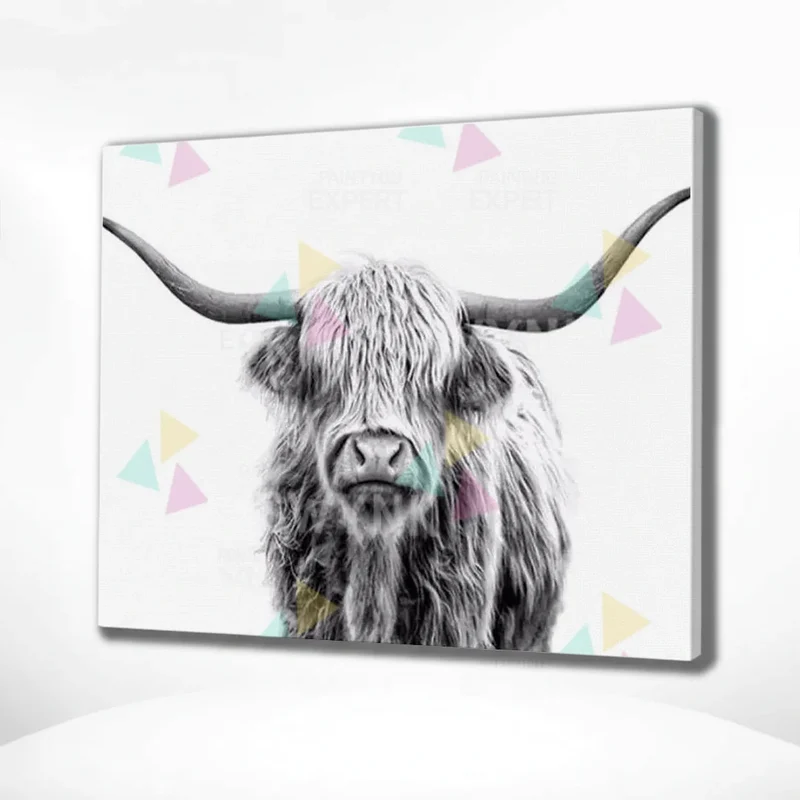 Painting by numbers Black and White Scottish Highlander