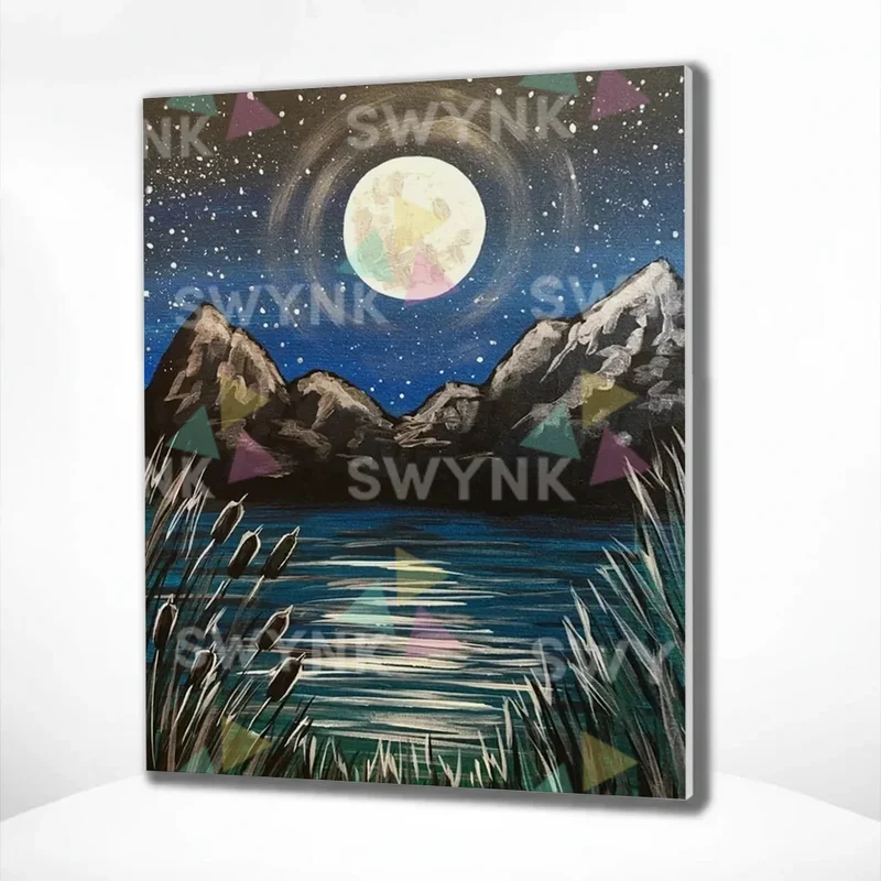 Painting by numbers Magic Moon in the Sky