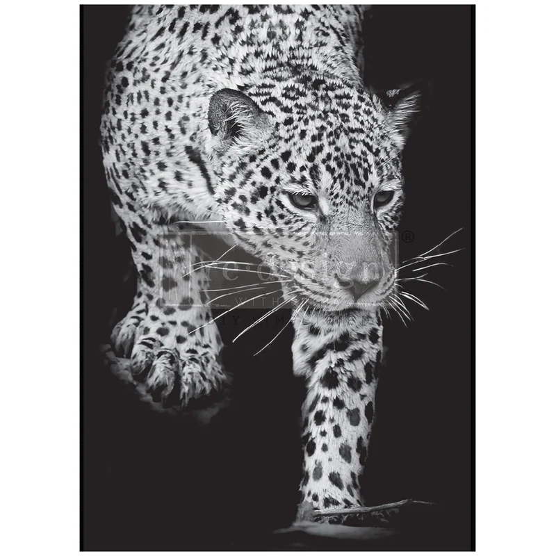 Papel Decoupage Re Design With Prima - FELINE GAZE