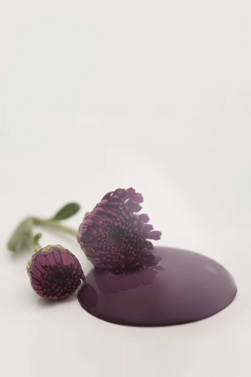 Pintura Chalk Paint POSH PLUM