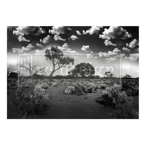 Papel Decoupage Re Design With Prima - SERENE WILDERNESS