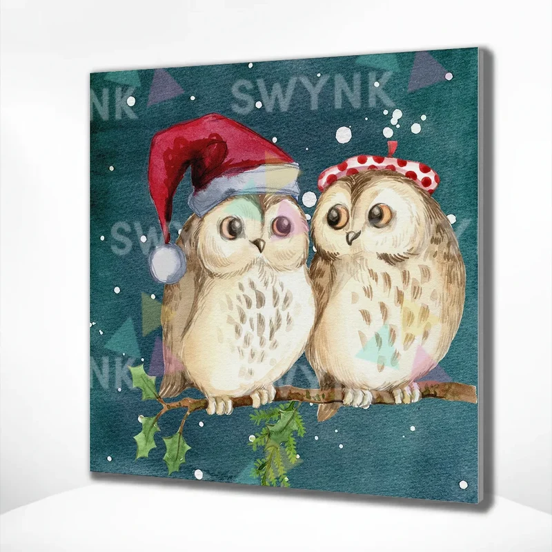 Painting by numbers Owls Christmas