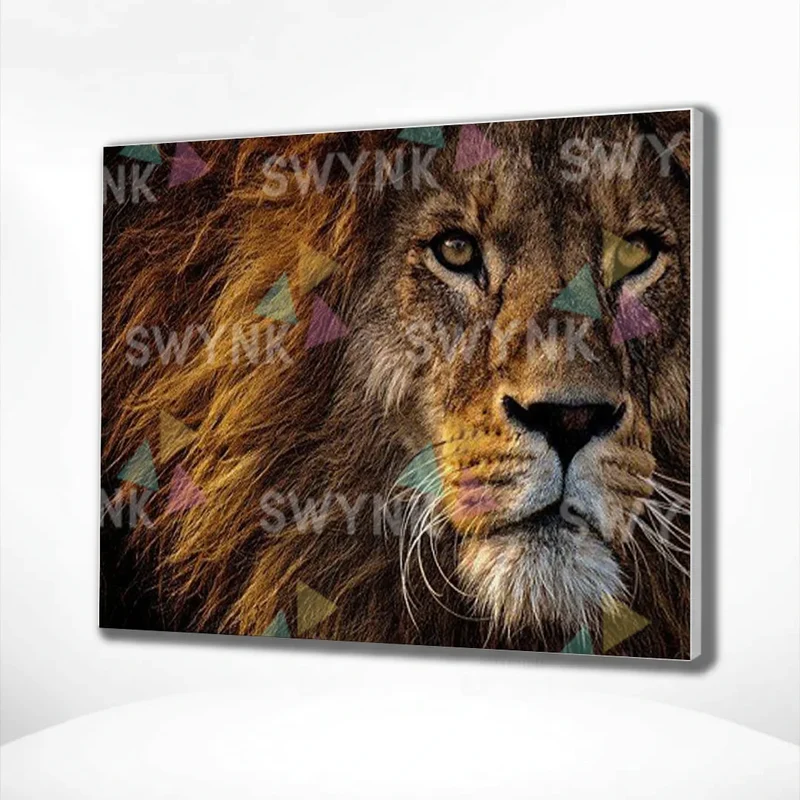 Painting by numbers Beautiful Lion