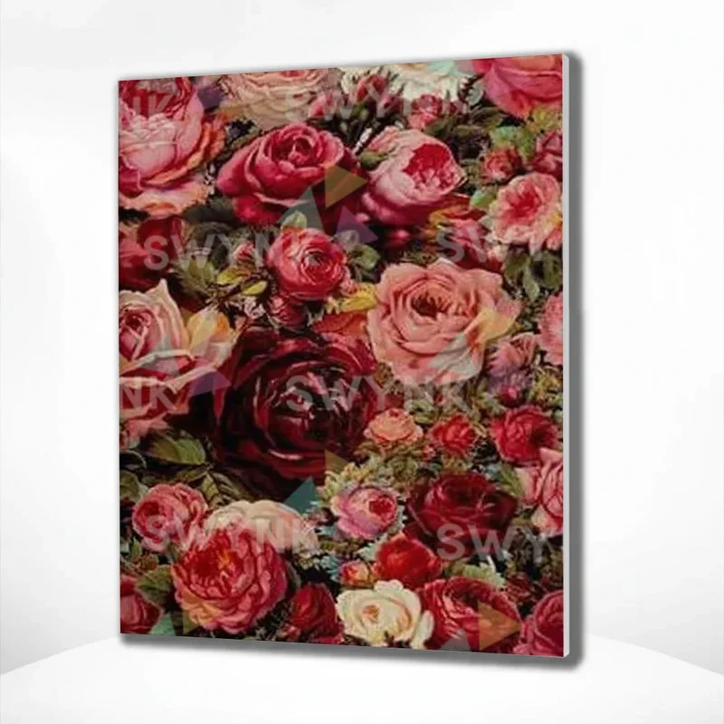 Painting by numbers Colourful Roses