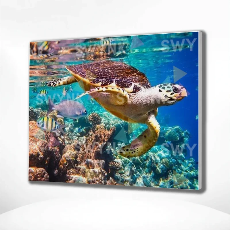 Painting by numbers Sea Turtle