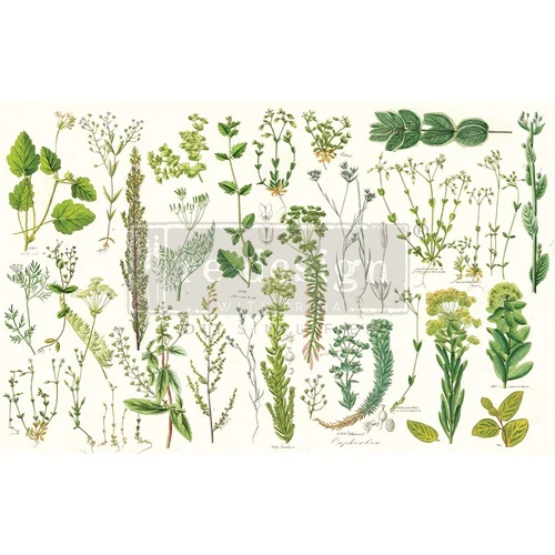 Papel Decoupage Re Design With Prima - GREENERY