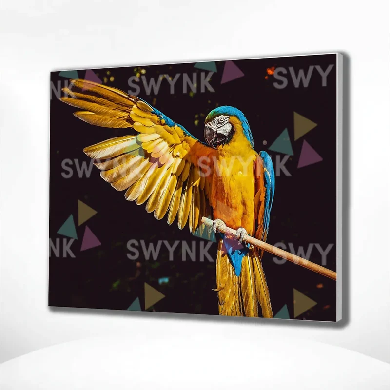Painting by numbers Beautiful Parrot