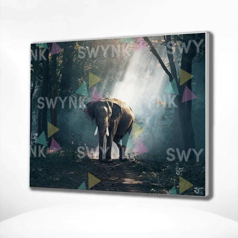 Painting by numbers Elephant in the Forest