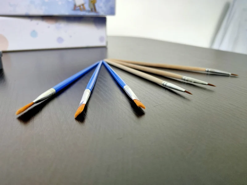 Premium Brushes | 5 Pieces