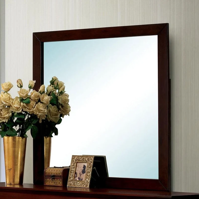 Furniture of America Louis Philippe III Dresser Mirror CM7866CH-M