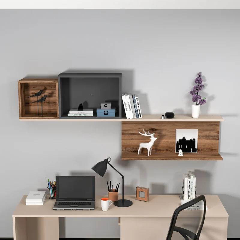 Akser Wall Mounted Shelving Unit