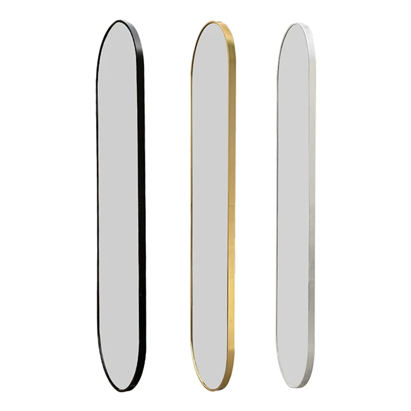 Modern Minimalist Oval Aluminum Alloy Glass Full-Length Wall Mirror For Living Room