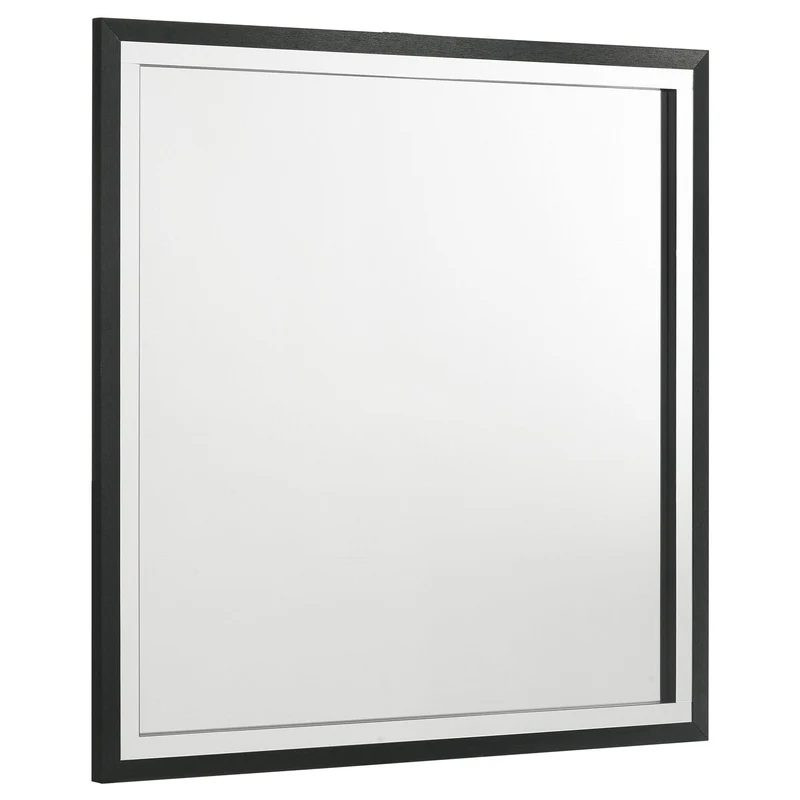 Coaster Furniture Lucia 224994 Dresser Mirror - Black