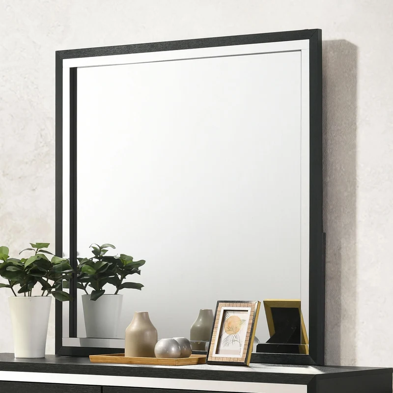 Coaster Furniture Lucia 224994 Dresser Mirror - Black