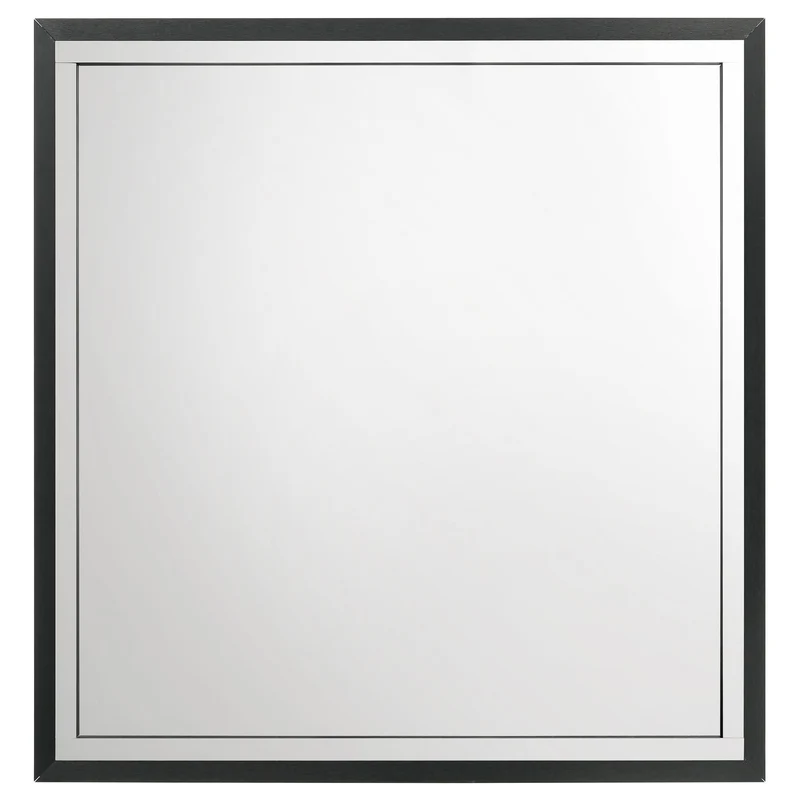 Coaster Furniture Lucia 224994 Dresser Mirror - Black