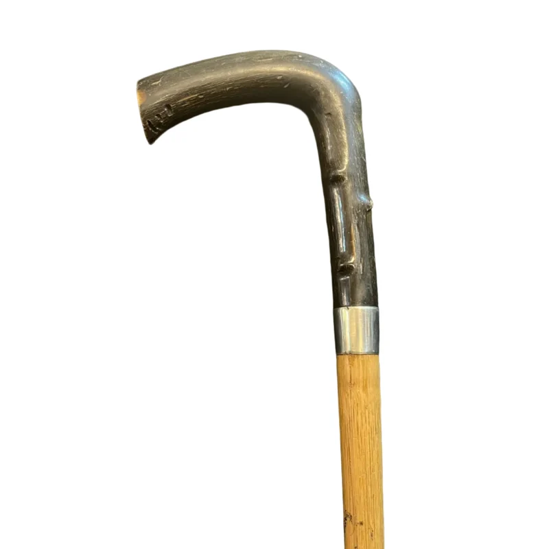 Walking stick with black antlers and lead wedge