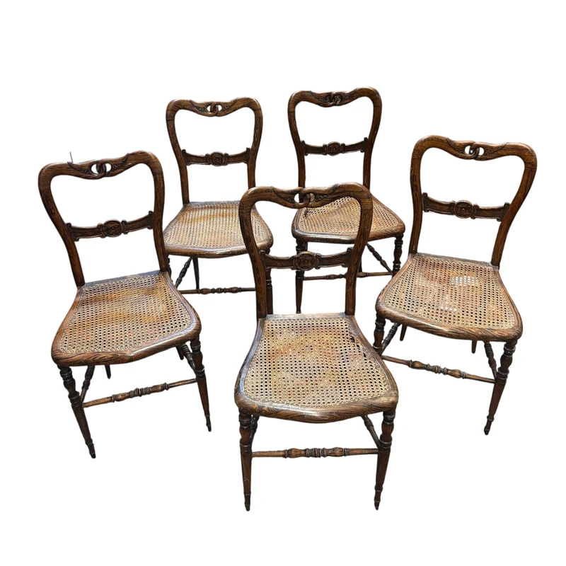 5 rosewood chairs