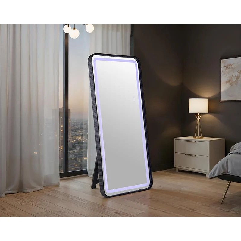 Furniture of America Kiley FM-AC8025BK-M Floor Mirror
