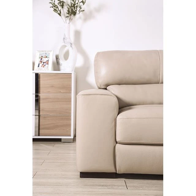 Furniture of America Marsicano FM90005TP-SF Sofa