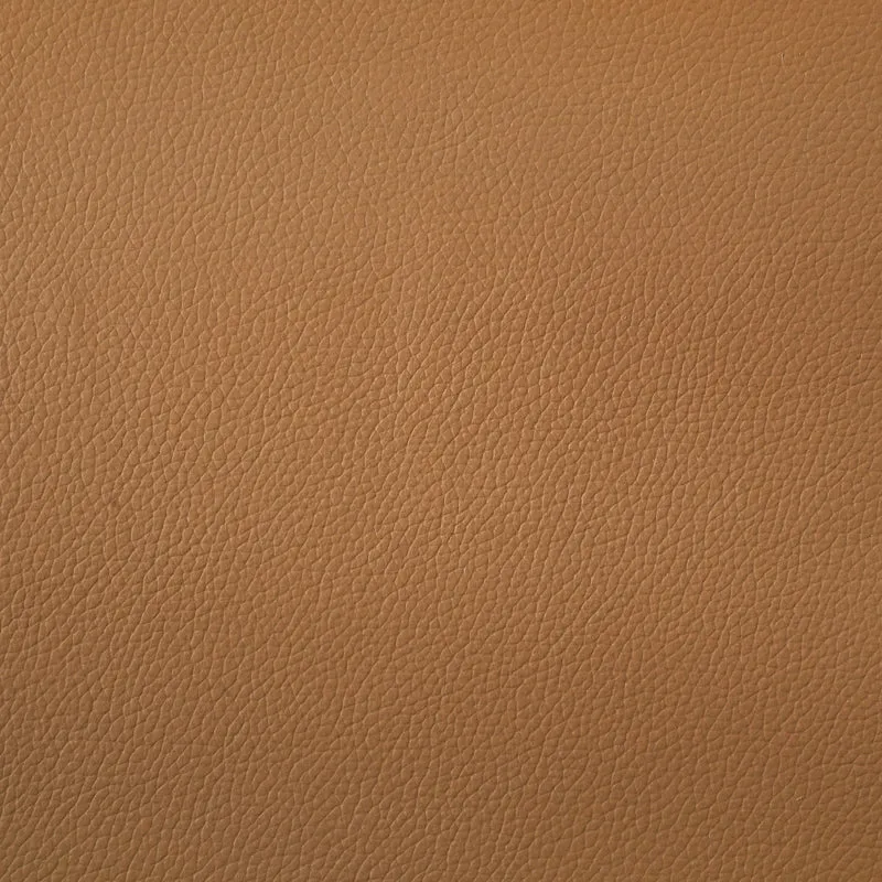 Coaster Furniture Buxton 509501 Top Grain Leather Upholstered Sofa - Orange