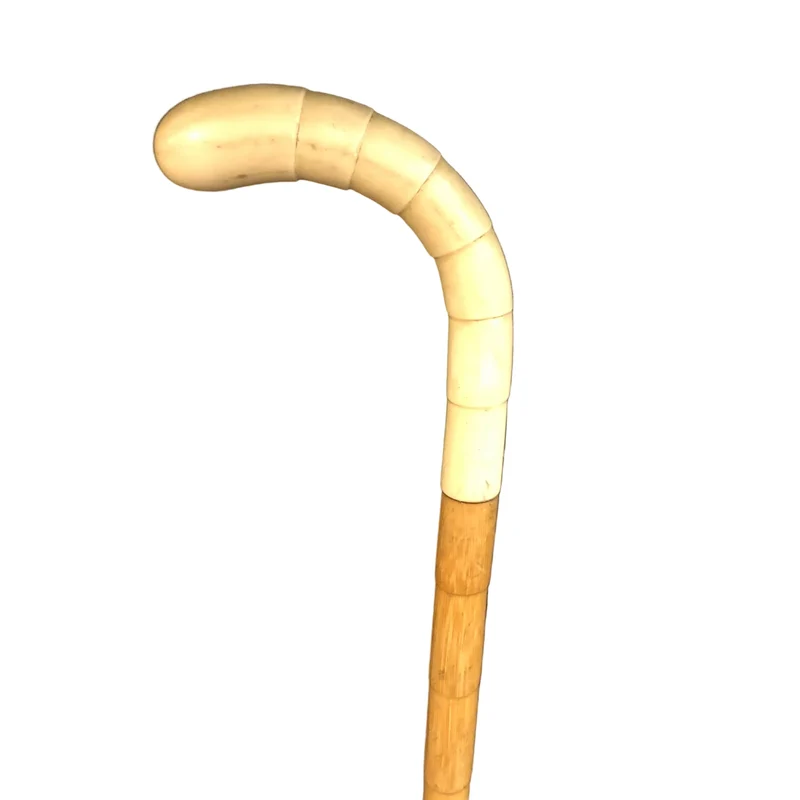 Cane cane with bakelite handle