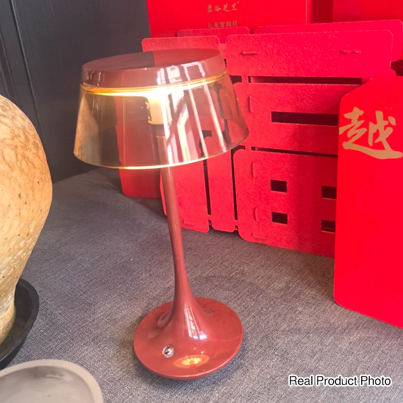 USB Rechargeable Cordless Touch Control & Infinitely Dimmable Table Lamp - Nordic LED Acrylic & Aluminum Alloy Bedside Ambient Light For Bedroom