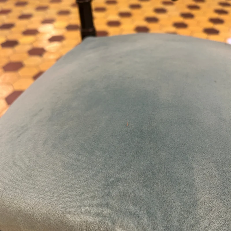 Pair of French Napoleon III chairs, lacquered with turquoise velvet upholstery