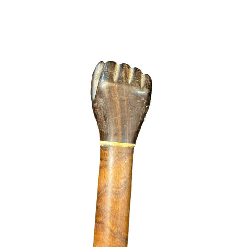 Jacaranda walking stick and application of bone in a clenched fist