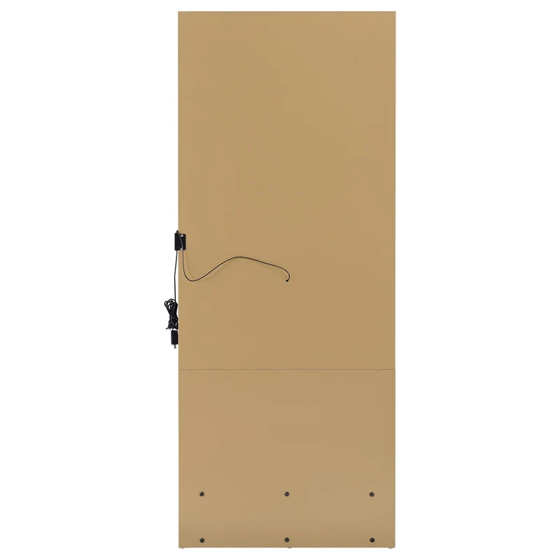 Coaster Furniture Spector 960965 1-drawer Lighted Full-Length Floor Mirror - Mango
