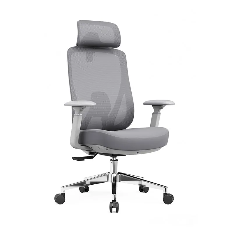 Modern Minimalist Grey High-Back Mesh Executive Chair - 4D Adjustable Headrest & Tilt Ergonomic Office Chair For Home Office