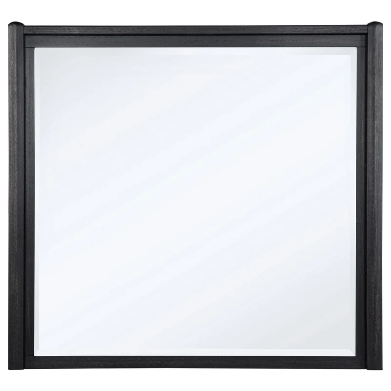 Coaster Furniture Leandro 222494 Dresser Mirror - Burnished Black