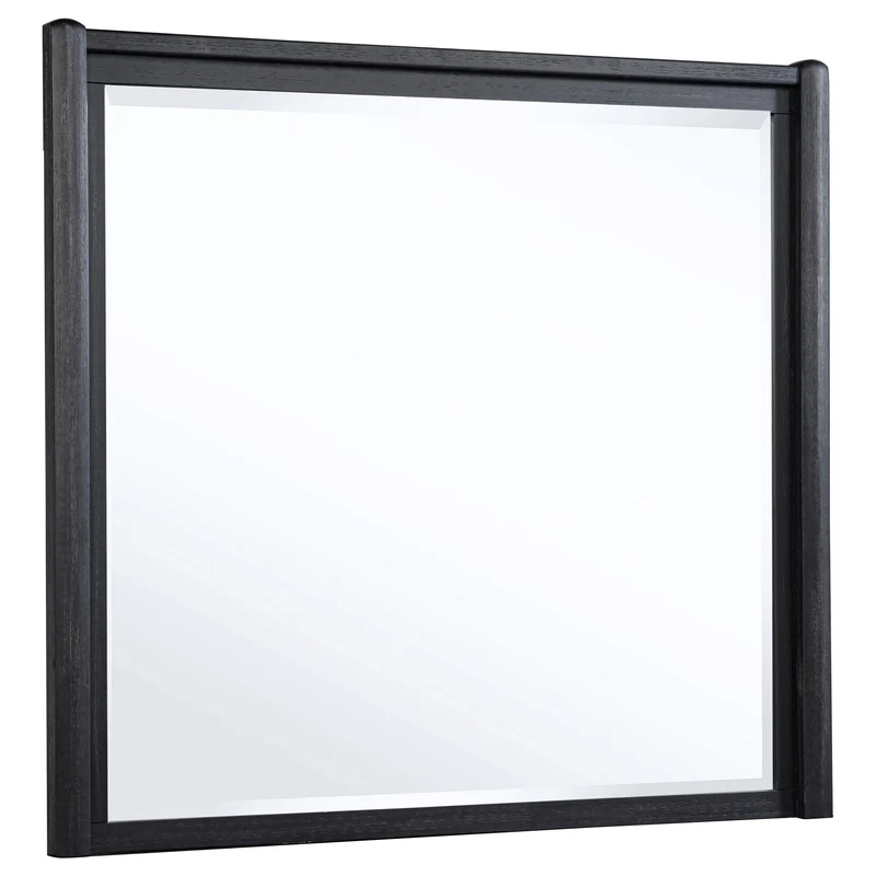Coaster Furniture Leandro 222494 Dresser Mirror - Burnished Black