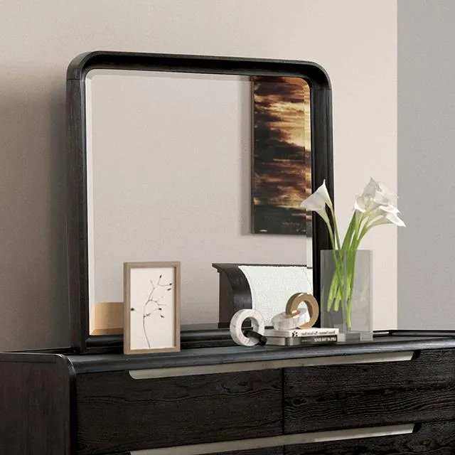 Furniture of America Osterley FM71500BK-M Mirror