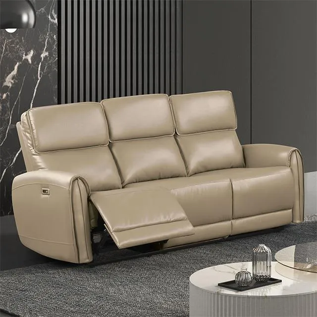 Furniture of America Schlieren FM6012BG-SF-PM Power Sofa