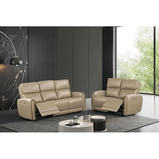 Furniture of America Schlieren FM6012BG-SF-PM Power Sofa