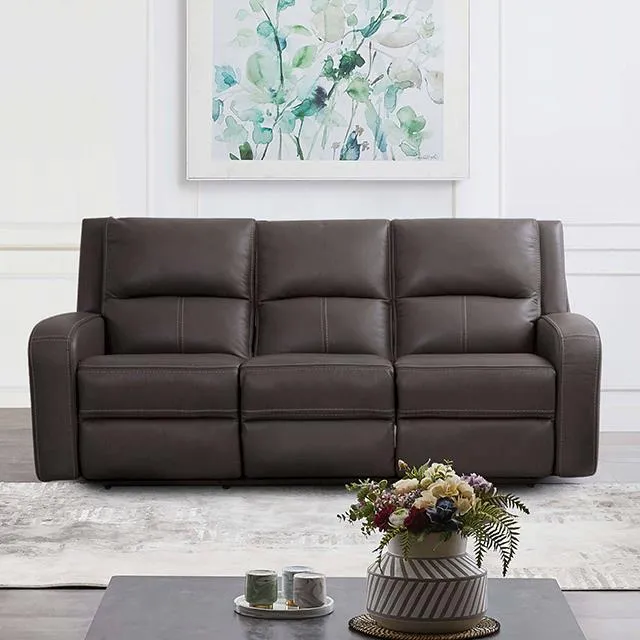 Furniture of America Vasilios CM9914GY-SF-PM Power Sofa