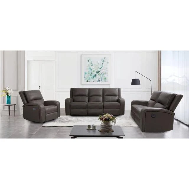 Furniture of America Vasilios CM9914GY-SF-PM Power Sofa