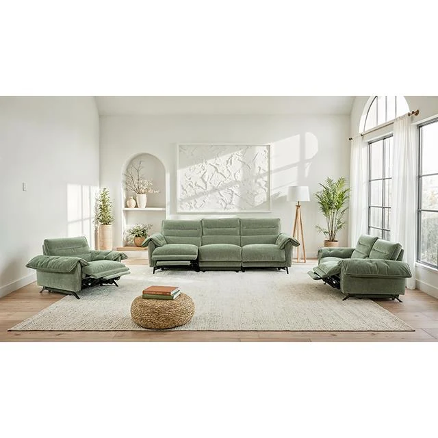 Furniture of America Morley CM9943GR-SF-PM-PK Power Sofa