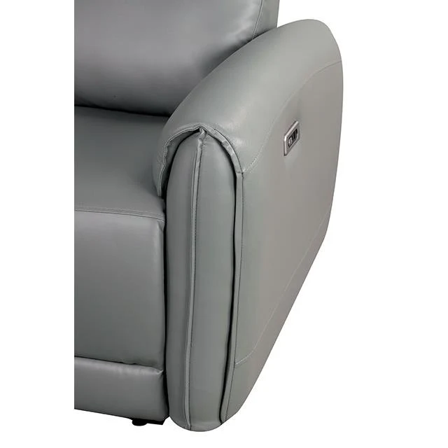 Furniture of America Schlieren FM6012GY-SF-PM Power Sofa