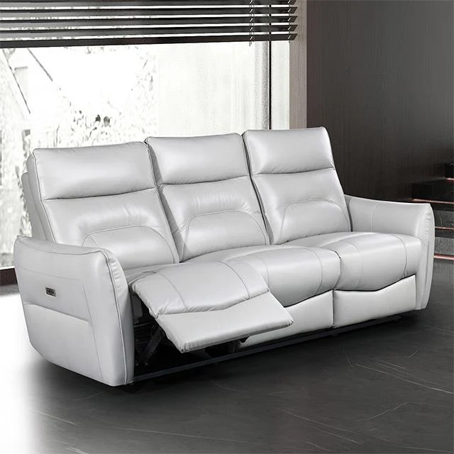 Furniture of America Terentius FM69006TP-SF-PM Power Sofa