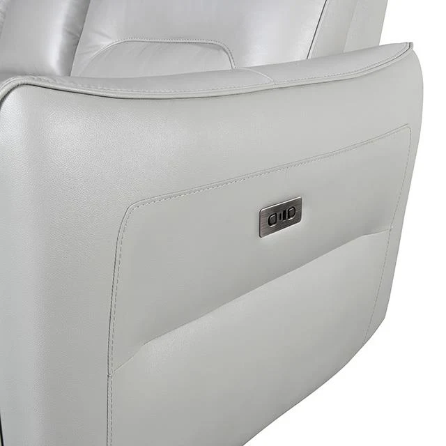 Furniture of America Terentius FM69006TP-SF-PM Power Sofa