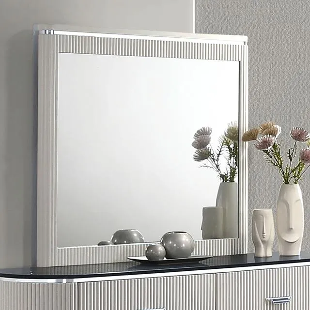 Furniture of America Aldgate FM7244GY-M Mirror